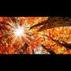 faith814